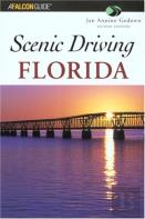 Scenic Driving Florida