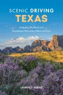 Scenic Driving Texas