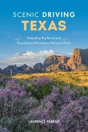 Scenic Driving Texas