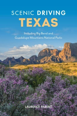 Bertrand.pt - Scenic Driving Texas
