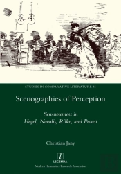 Scenographies Of Perception