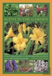 Scent In The Garden