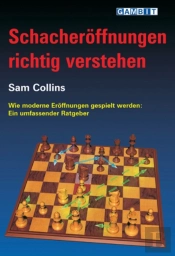 Schacheroffnungen Richtig Verstehen