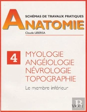 Schemas Tp D'Anatomie T.4