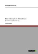 Schmerztherapie Im Aufwachraum