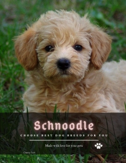 Bertrand.pt - Schnoodle