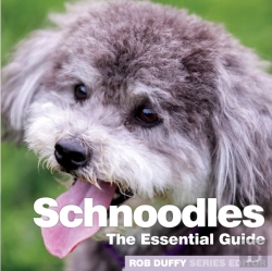 Bertrand.pt - Schnoodles