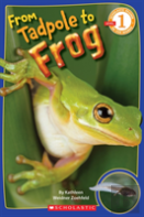 Scholastic Reader Level 1: From Tadpole To Frog