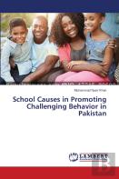 School Causes In Promoting Challenging Behavior In Pakistan