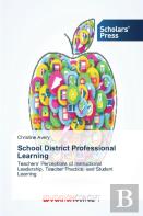 School District Professional Learning