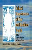 School Experiences Of Gay And Lesbian Youth