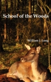 School Of The Woods