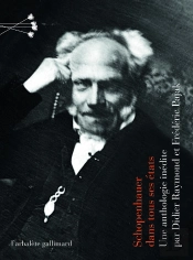 Schopenhauer Dans Tous Ses États