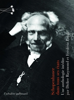 Bertrand.pt - Schopenhauer Dans Tous Ses États