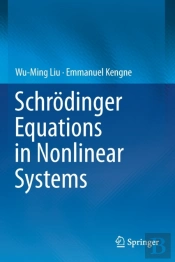 Schrodinger Equations In Nonlinear Systems
