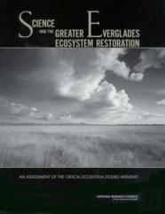 Science And The Greater Everglades Ecosystem Restoration