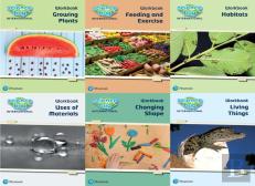 Science Bug International Year 2 Workbook Pack
