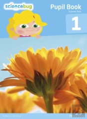 Science Bug Pupil Book Year 1