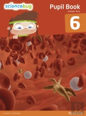 Science Bug Pupil Book Year 6