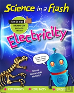 Bertrand.pt - Science In A Flash: Electricity