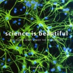 Bertrand.pt - Science Is Beautiful: The Human Body