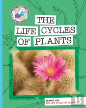 Science Lab: The Life Cycles Of Plants