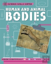 Science Skills Sorted!: Human And Animal Bodies
