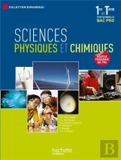 Sciences Physiques Et Chimiques ; 1ère/Terminale Professionnelles Bac Pro ; Livre De L'Élève (Édition 2010)