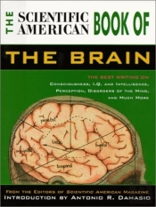 'Scientific American' Book Of The Brain