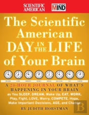 'Scientific American' Day In The Life Of Your Brain