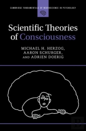 Scientific Theories Of Consciousness