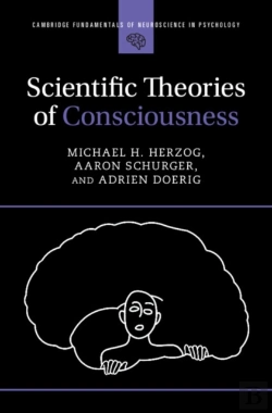 Bertrand.pt - Scientific Theories Of Consciousness