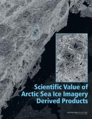 Scientific Value Of Arctic Sea Ice Imagery Derived Products
