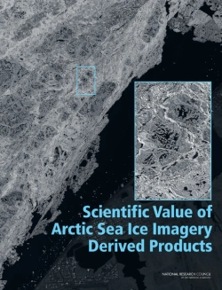 Bertrand.pt - Scientific Value Of Arctic Sea Ice Imagery Derived Products