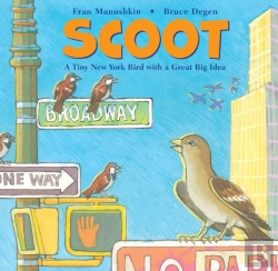 Bertrand.pt - Scoot