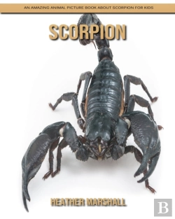Bertrand.pt - Scorpion