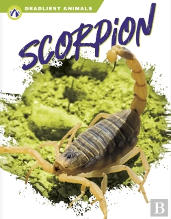 Bertrand.pt - Scorpion