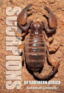 Bertrand.pt - Scorpions Of South Africa