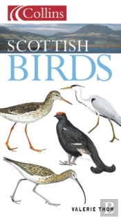 Scottish Birds