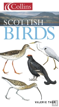 Bertrand.pt - Scottish Birds