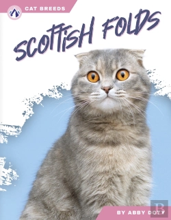 Bertrand.pt - Scottish Folds