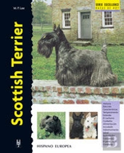 Scottish Terrier
