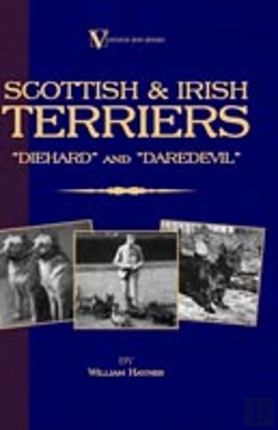 Bertrand.pt - Scottish Terriers And Irish Terriers - 