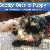 Scotty Gets A Puppy