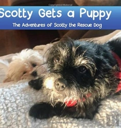 Bertrand.pt - Scotty Gets A Puppy
