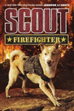 Bertrand.pt - Scout: Fire Fighter