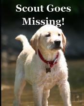 Scout Goes Missing!