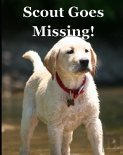 Scout Goes Missing!
