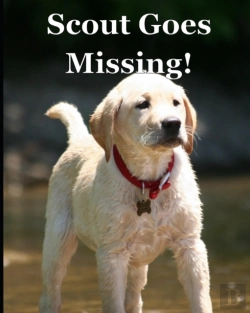 Bertrand.pt - Scout Goes Missing!
