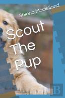 Scout The Pup